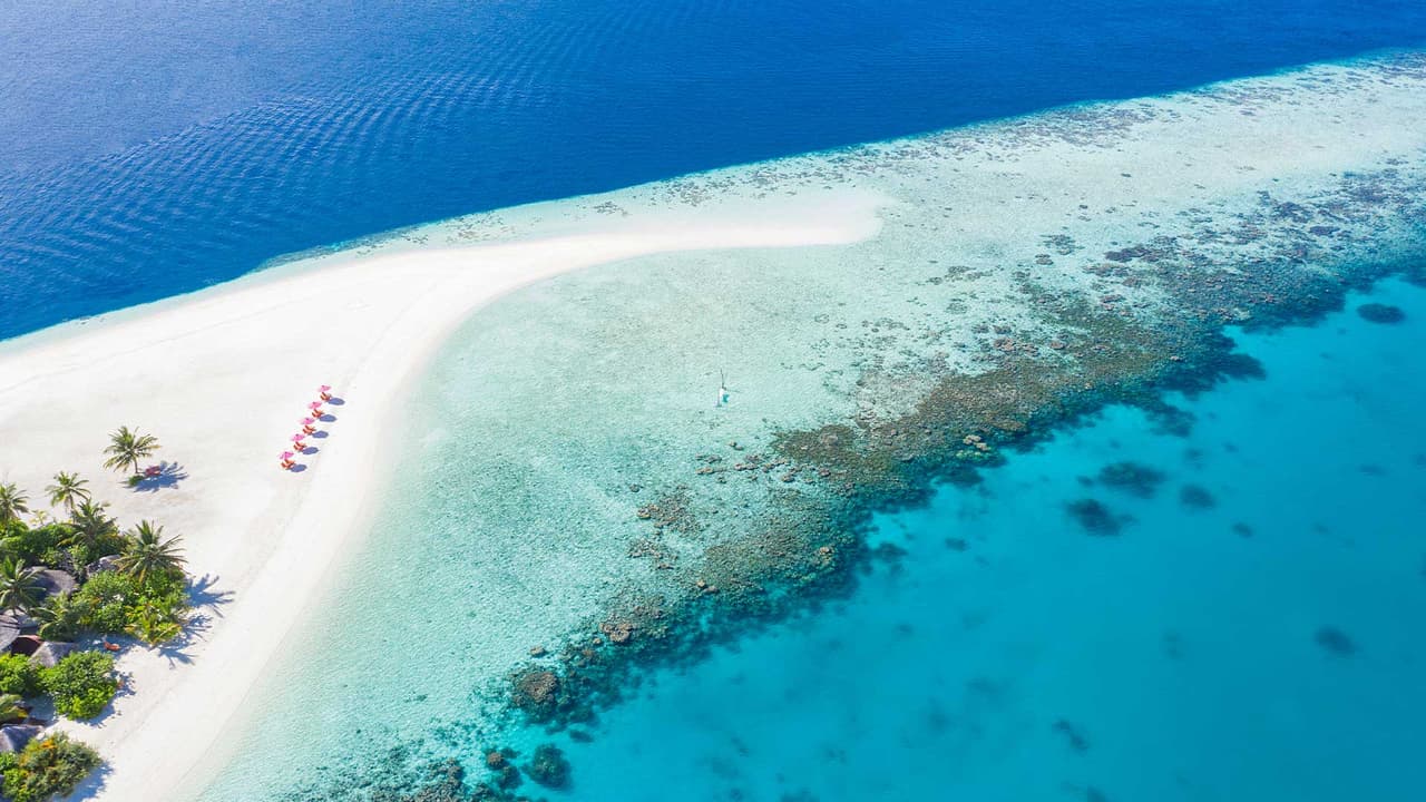 calliope maldives bandeau