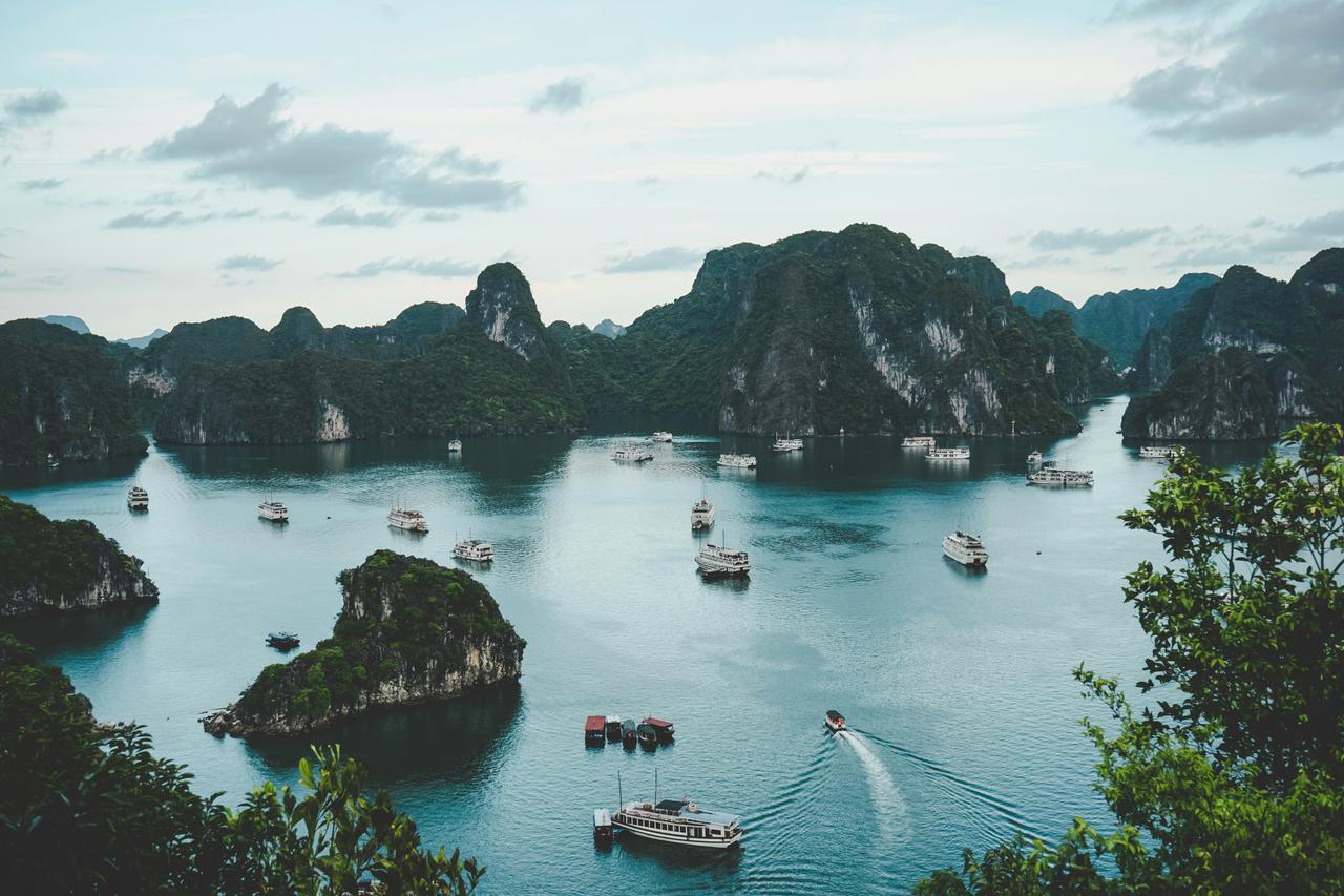 ammie ngo vcu OZBxxRk unsplash