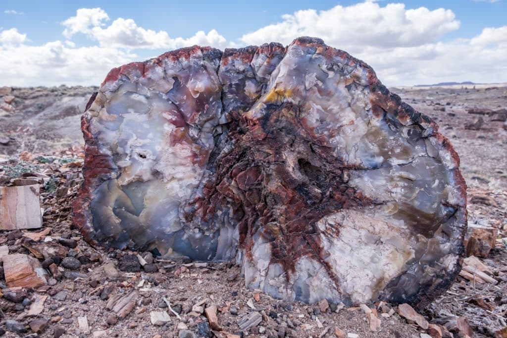 Image 6