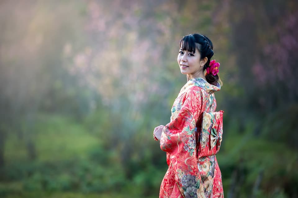 envie d'un japon unique