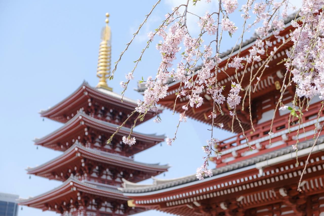 yu kato  NStkTOhv2I unsplash