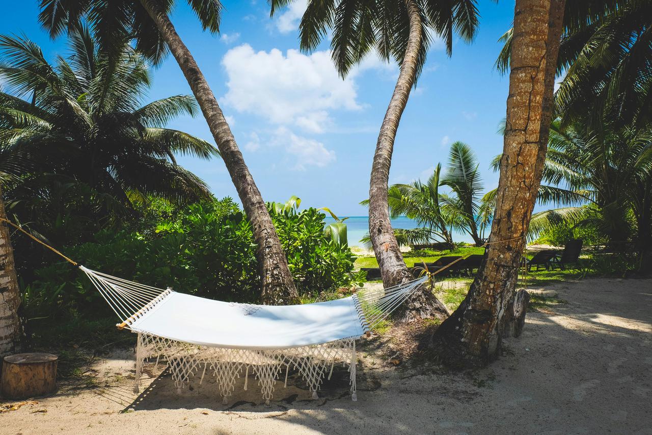 [ Newsletter ] où partir en voyage en 2025 - Calliope Travel