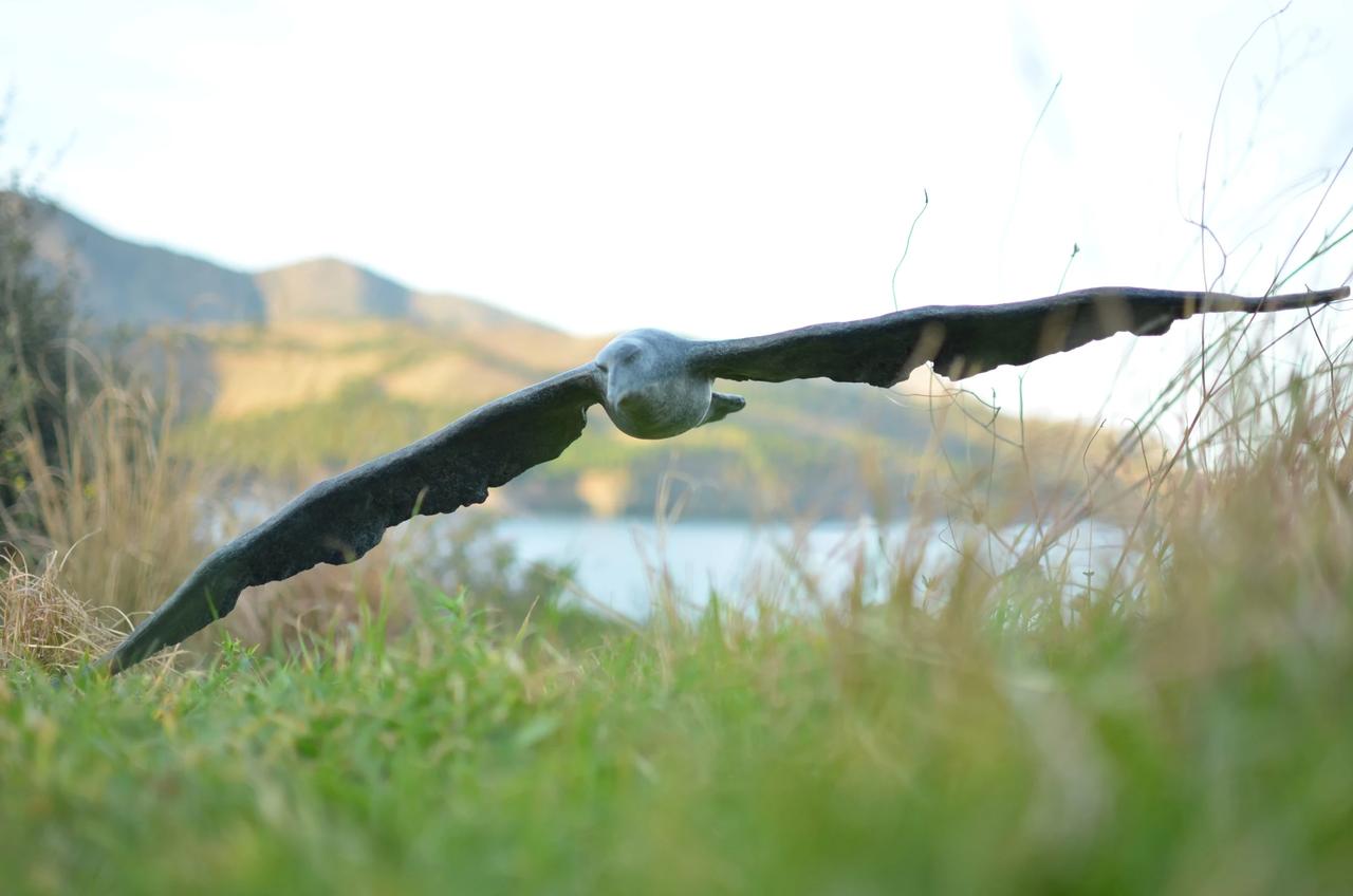 Albatross - Image 2