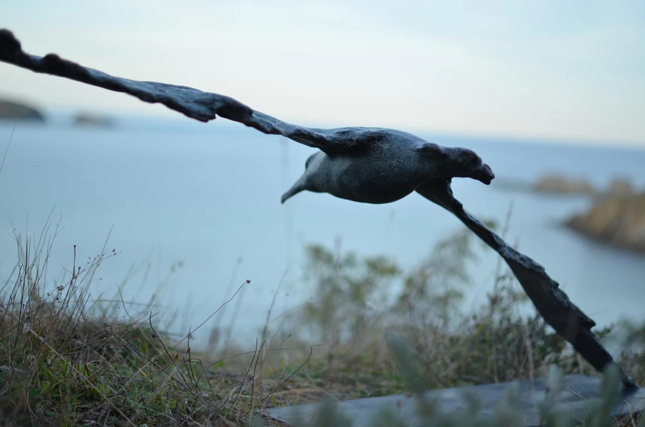 Albatross - Image 3