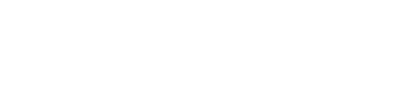 The Selection Ibiza