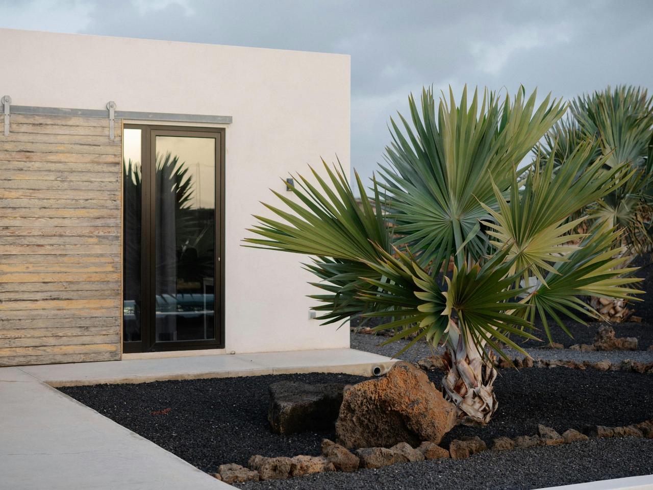 Modern villa entrance with palm trees and rocky landscape.