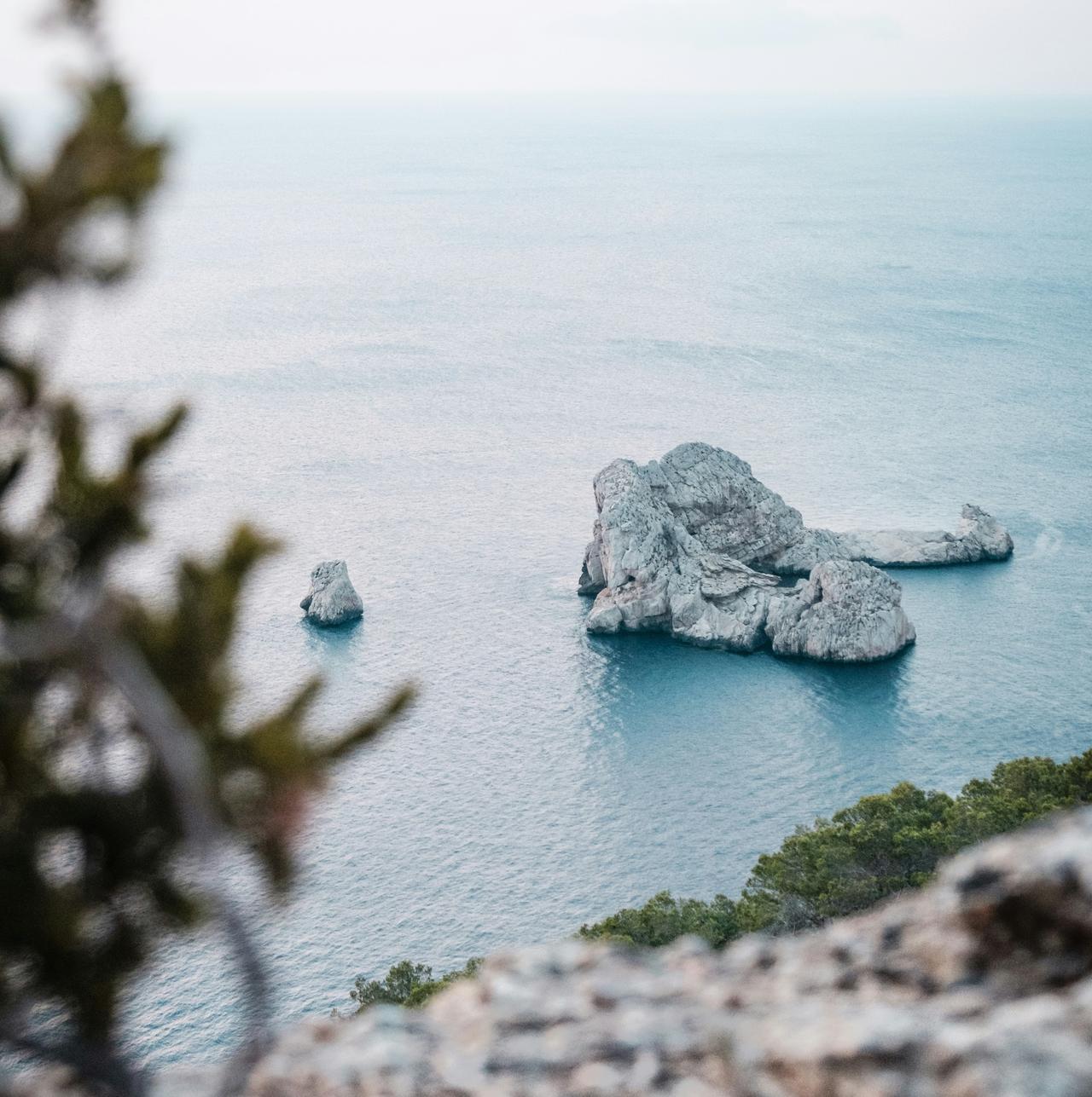 jonas verstuyft rn1 gNgYy3g unsplash