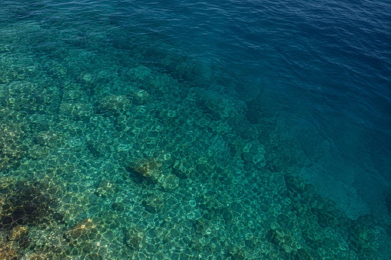 Clear turquoise water revealing underwater rocks and coral formations.