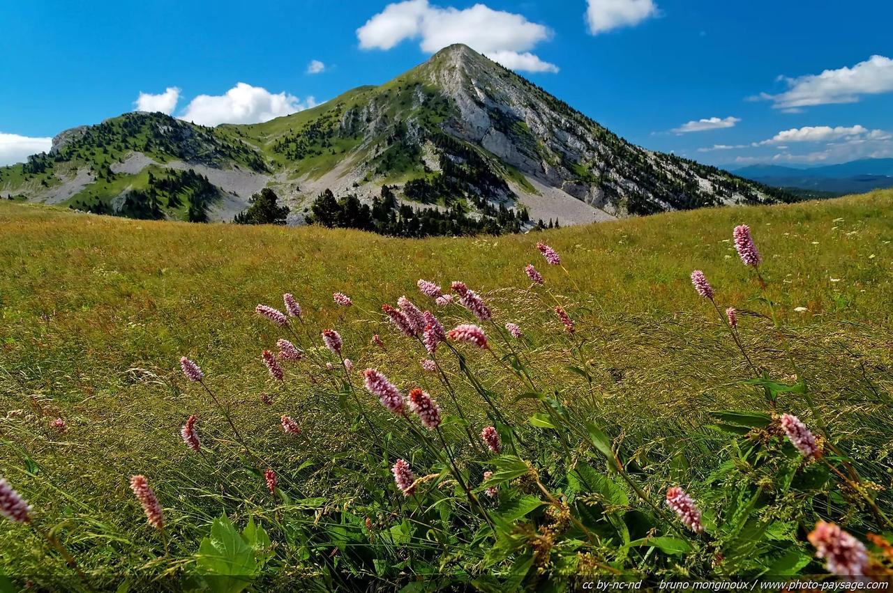 vu montagne été