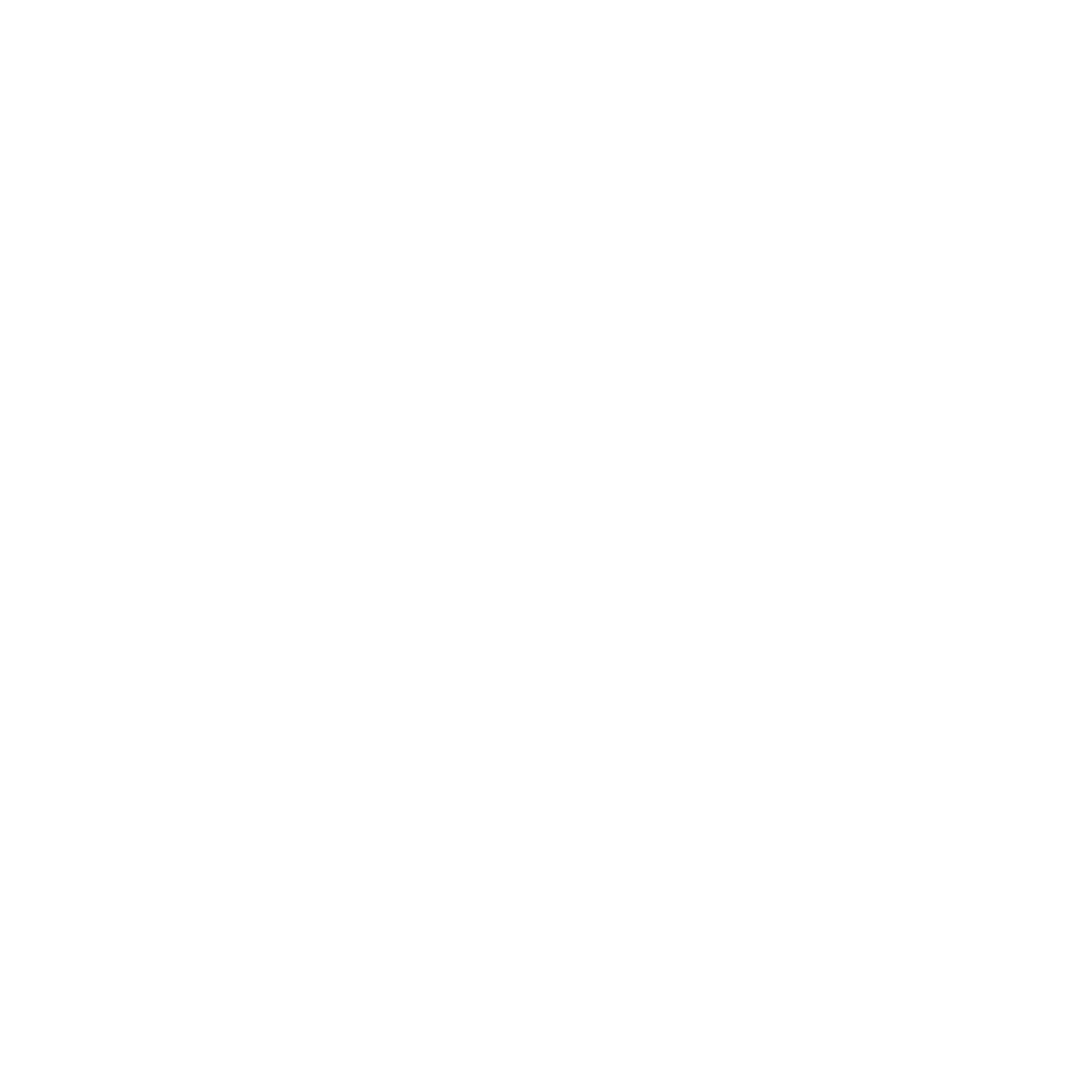 FLIRTINI