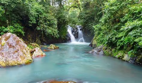 jardin bali agence voyages calliope travel