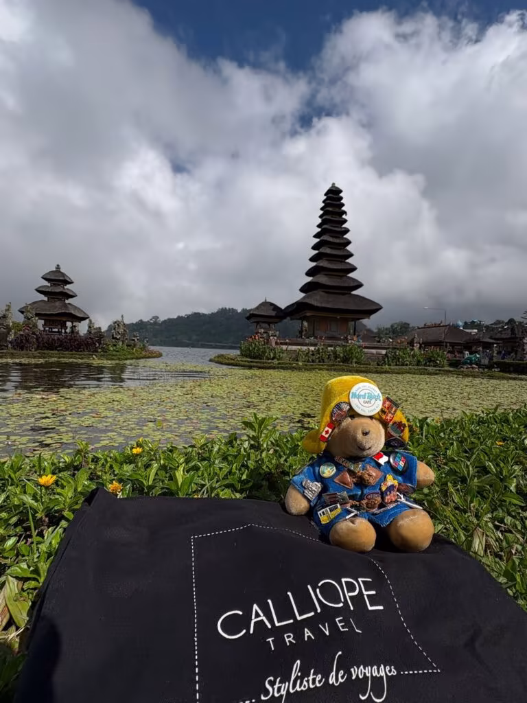 Hortolan Bali 2 768x1024