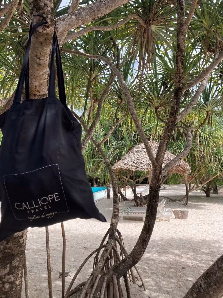 Zanzibar fev24 voyage calliope travel 768x1024