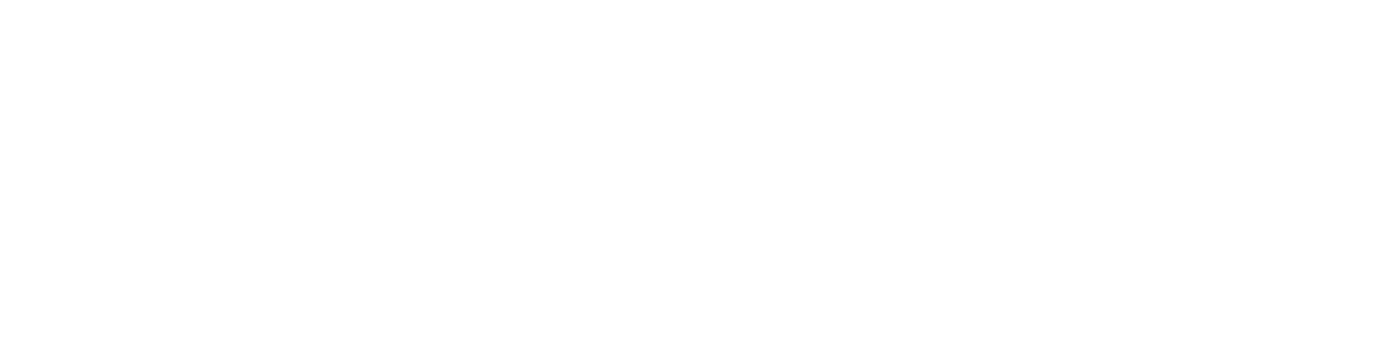 The Selection Ibiza